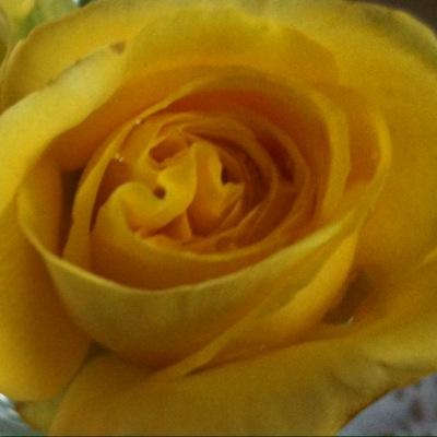 EEngzell's profile picture. 