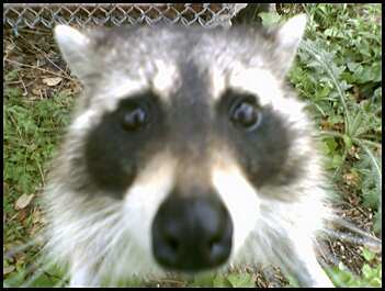 tywan17's profile picture. 