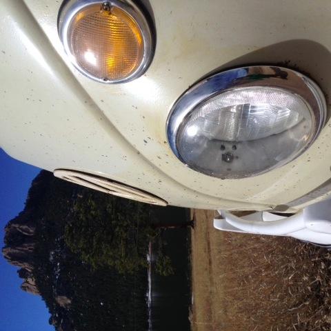 MountainMicros's profile picture. VW Bus Lunatics