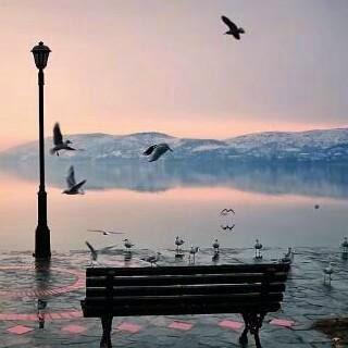 hissa_musa's profile picture. 