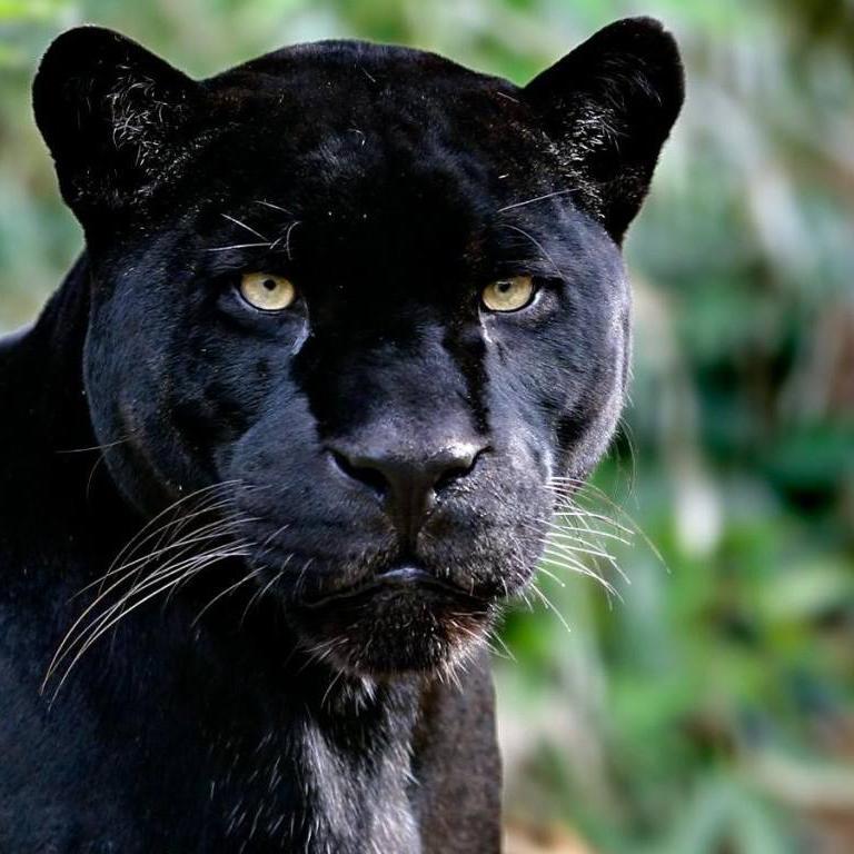 BilgePlug's profile picture. Writer, Author, Sailer