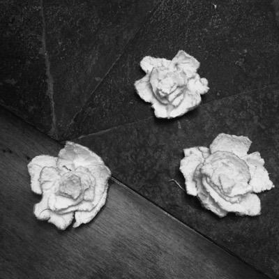 Relatables3's profile picture. free follow but follow sab_believe