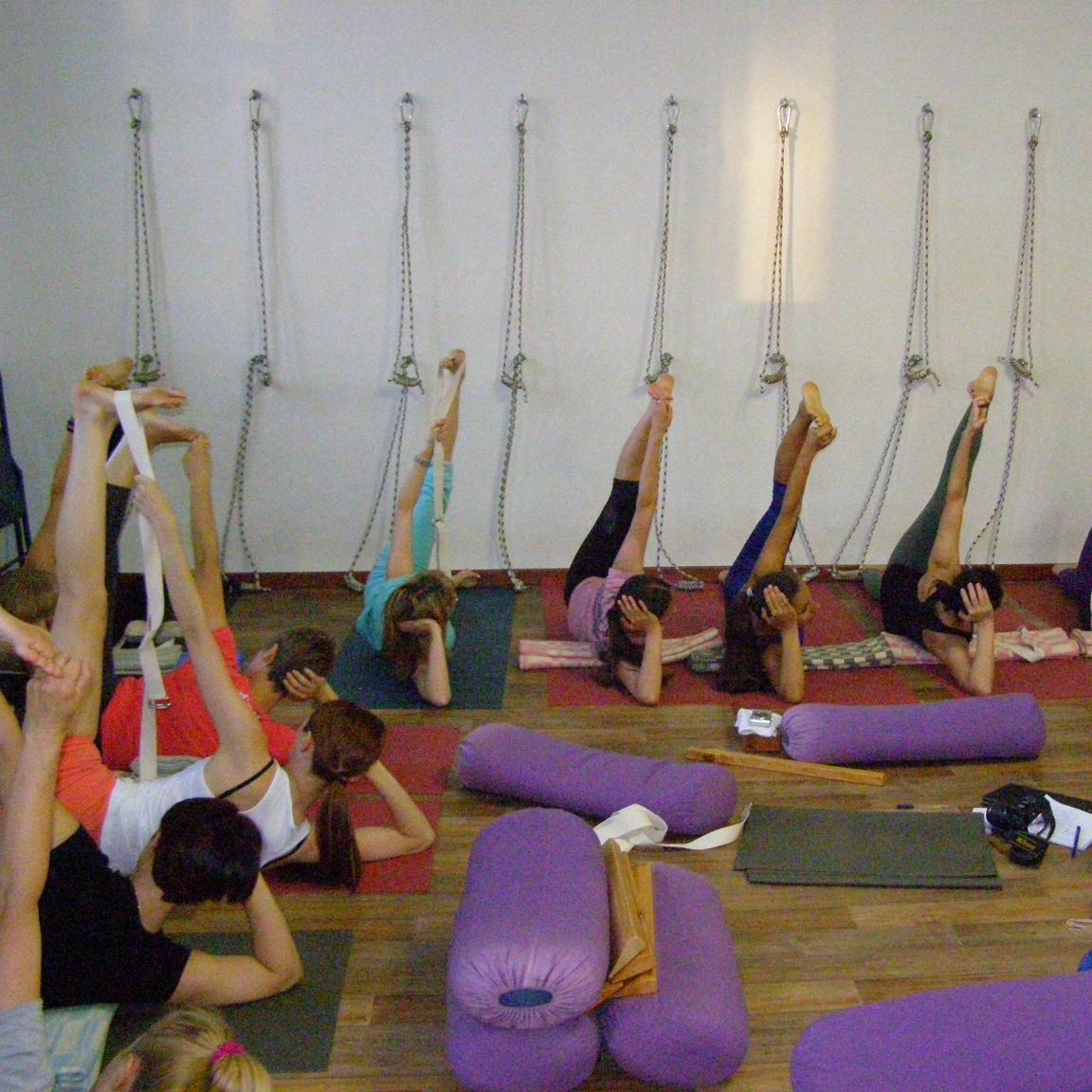 ludiyogi's profile picture. 