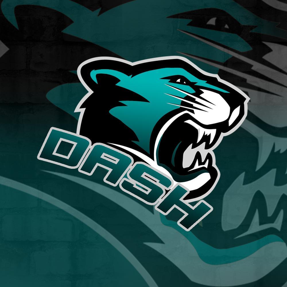 DashFPS's profile picture. 