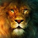 Aslan (@59aurelien59) Twitter