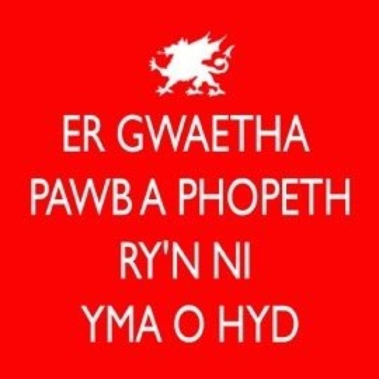 Pencampwriaith's profile picture. 