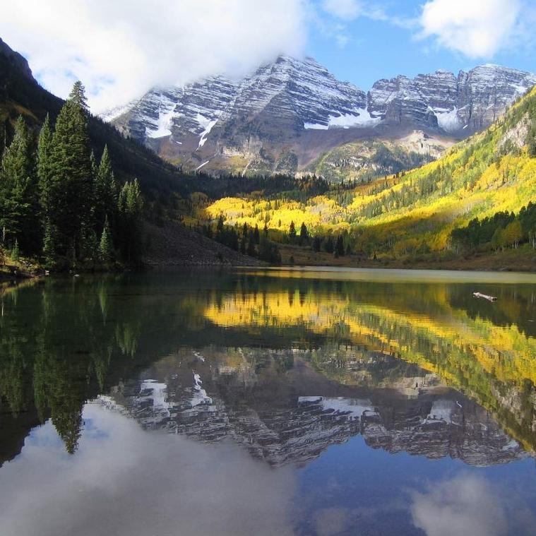 janicejohnson01's profile picture. 