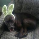 henry hendricks - @decentbirthr94 - Twitter