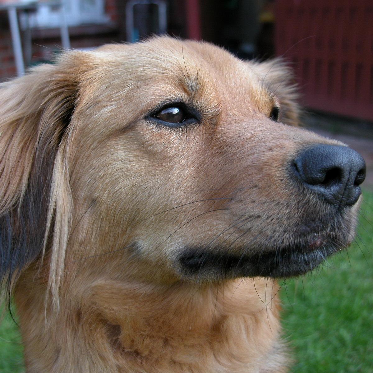 HellerAngelika's profile picture. Ruhig achtsam sein