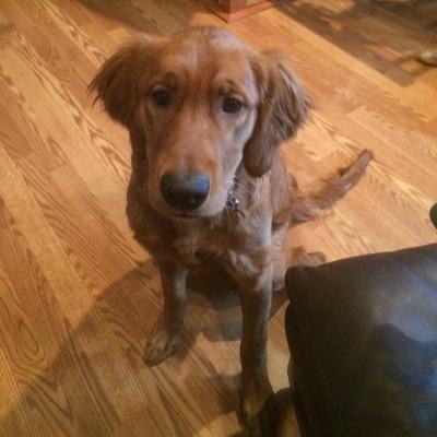 oneillmatt2's profile picture. 