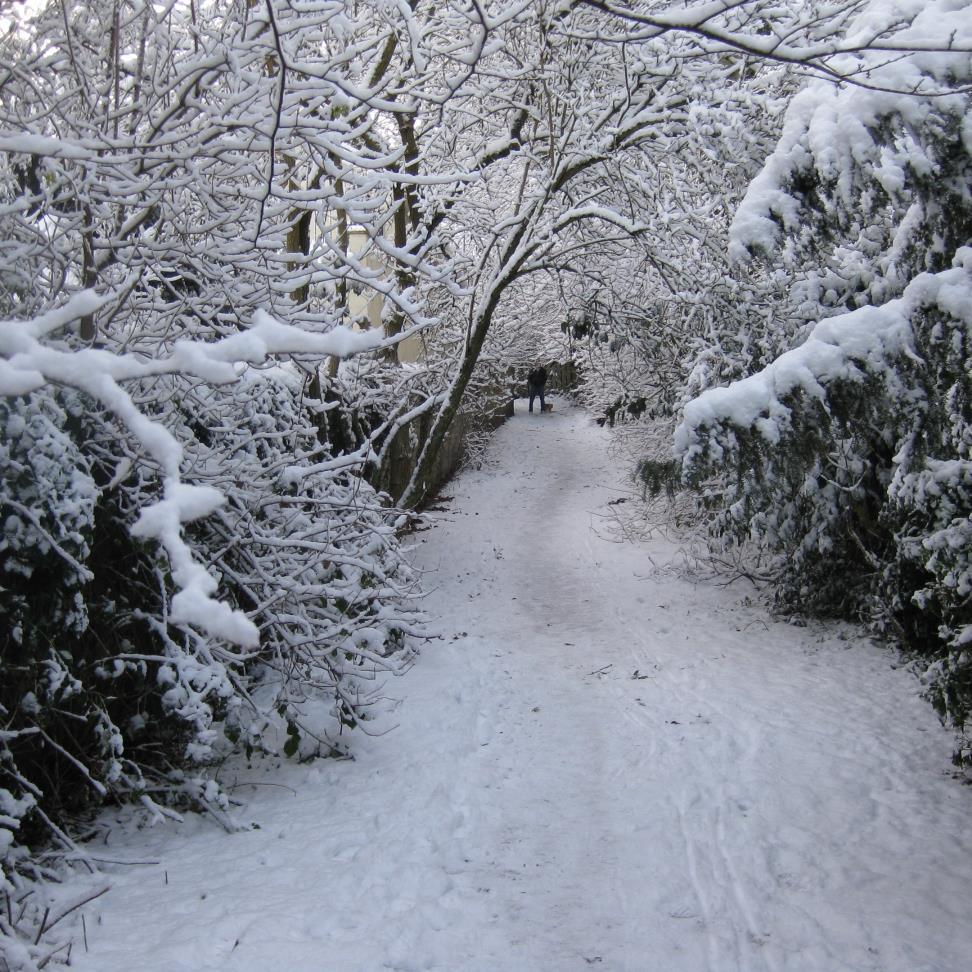 GreenGxblin8's profile picture. Spiderman~Dexter~Blink 182~Green Day