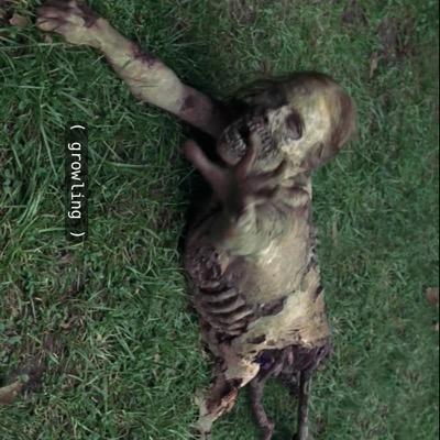 JakeHayworth's profile picture. 7846