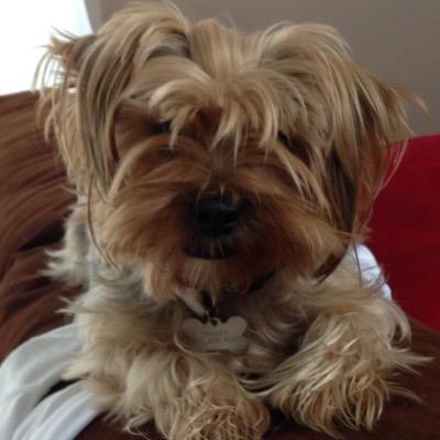 saleicht's profile picture. loving jesus. serving jesus. repenting sinner. humbled daughter of christ.