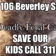 DeepQuong's profile picture. Deep Quong a Deadly Feral Cat Haven where TO's Crazy Cat Lady spread's toxo & other diseases to iKids & Folks TO Ward 20 http://t.co/sEN3AtLrZ6