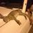 salm95922805's profile image