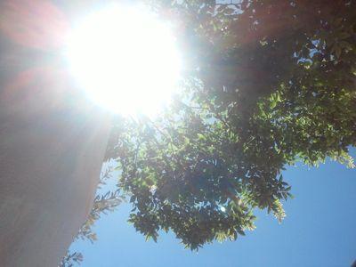 Mom of 2 boys, reflexologist, holistic massage health & wellbeing