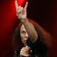 Metal Is The Law (@discover_metal) 's Twitter Profile