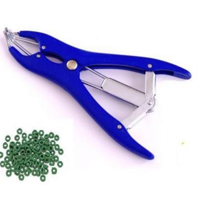 qasimzia93's profile picture. 