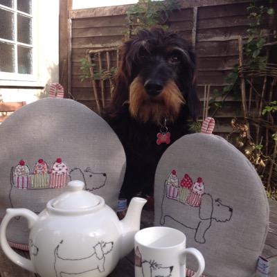 hillyhubb's profile picture. Beautiful and stunning gifts for you, your iPhone, iPad and your home. We also have a great collection of Hillyhubb designed greetings cards.