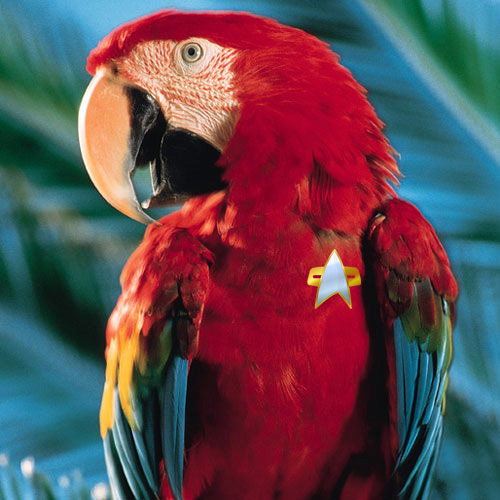 parrottrek's profile picture. Parrothead, Trekkie, Whovian, VCU Rowdy Ram, Caps Fan,  Programmer, Burgaholic, Reader, Writer, Friend and all around good egg.