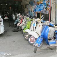 Vesrum family (@vesrumfamily) 's Twitter Profile