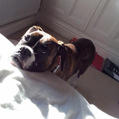 NatashaB71's profile picture. 