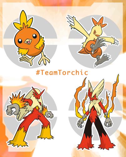 Mega Blaziken Chicotorchic Twitter