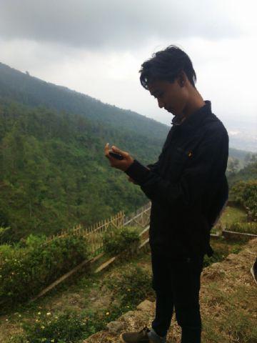 tiia