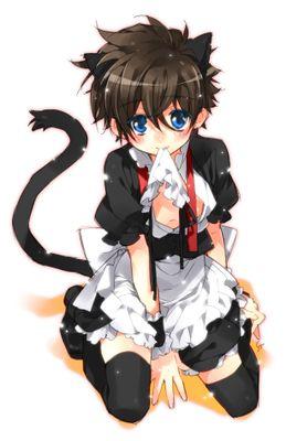 Name: Kyle||Occupation: Maid/Slave||Species: Neko|| Gender: Male||Likes: Nice People||Hates: When people touch/pull his tail||#OpenRP