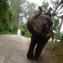 Valerio Negozio - @ValerioRob - Twitter