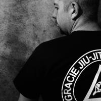 Rodrigo Chamorro (@botovchenco) 's Twitter Profile