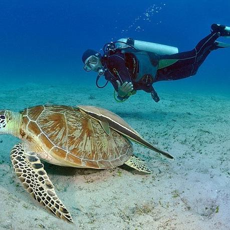 . Love nature, photograph& music, wildlife
Travelling,love sea nature & ocean