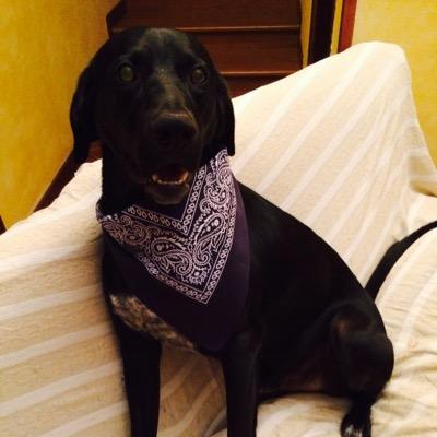 FrankHudson86's profile picture. 