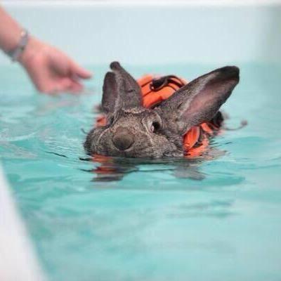 LiviLou832's profile picture. 