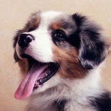 ACgenerator7654's profile picture. 