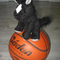 South Western GBB (@southwesterngbb) 's Twitter Profile Photo South Western GBB (@southwesterngbb) 's Twitter Profile Photo