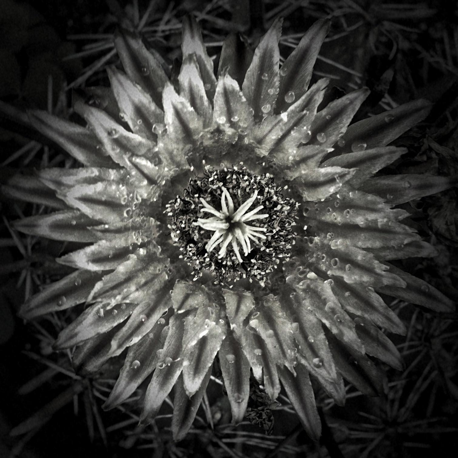 Infinite forme bellissime.                Endless beatiful shapes https://t.co/c4nExmoXKI