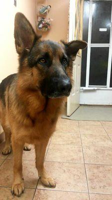 aujlaharjot's profile picture. xo