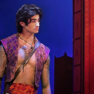 fuck the rollercoaster i just wanna ride zayn