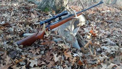 Missouri guns and pictures  like us on Facebook