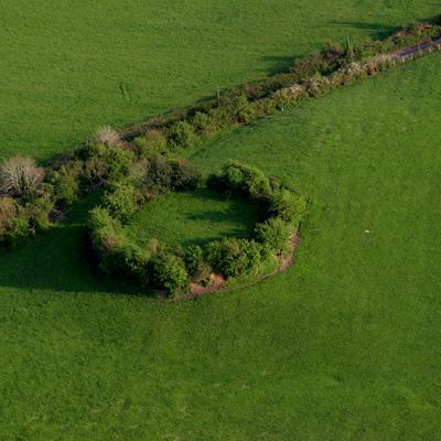 farming4every1's profile picture. Clontuskert students learning about and teaching others how to farm in Galway, Ireland