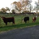 John Schryver - @77JohnnyRock - Twitter