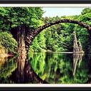 robyn sutton - @scoutbailey42 - Twitter