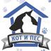 Кот и Пес (@kot_i_pes) Twitter profile photo