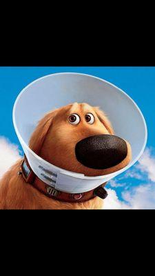 jfvelascob's profile picture. 