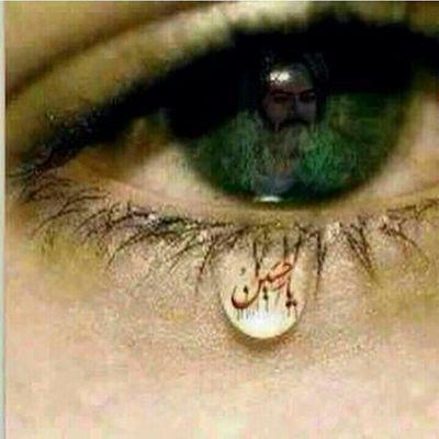 freesoft400's profile picture. 