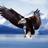 Schac__kerEmbry's profile image