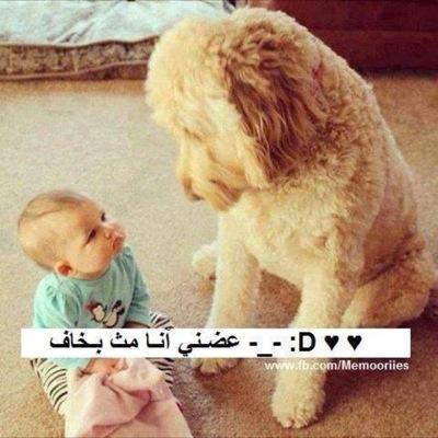 SeirsaUidi's profile picture. 