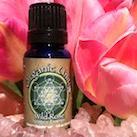 We specialize in handcrafted spagyric herbal extracts for vibrant health and conscious evolution. We are also connected to The School of Evolutionary Herbalism.