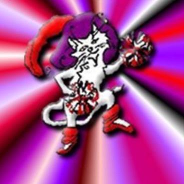 catsredshoes's profile picture. Ballet, Musical Theatre, Tap, Gymnastics, Cheer and Freestyle with an International Elite Show team. Multi award winning academy, Highfield Rd, Blackpool.